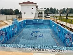 Farm House For Rent With Swimming Pool On Barki Road