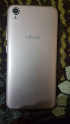 vivo