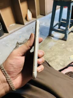 iPhone 11 / Dual Aprov / Waterpack