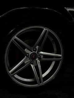 vossen