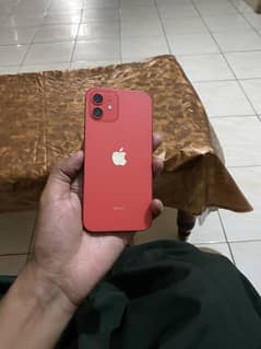 Iphone 12 dual approved