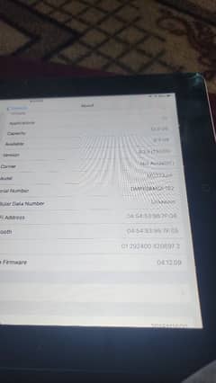 I pad pro