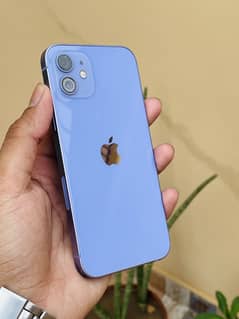 Iphone 12 jv