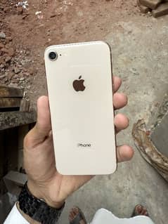 iphone 8 pta approved
