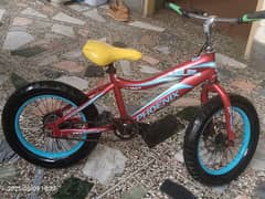 phoenix bicycle with disc brake