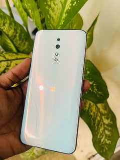OPPO