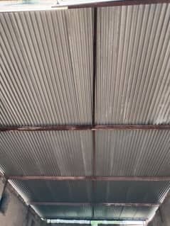 Iron