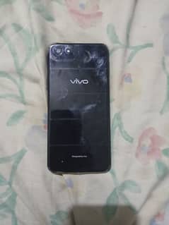 vivo
