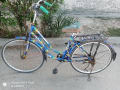 China imported Cycle