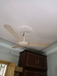 4 ceiling royal fans