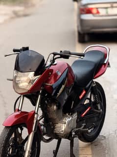 ybr 125