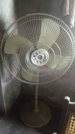 pedestal fan for sale