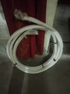 03006684081