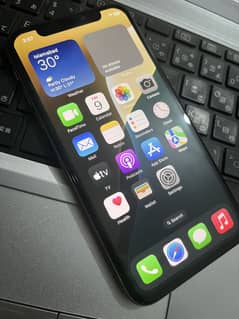 Iphone xs 256 gb