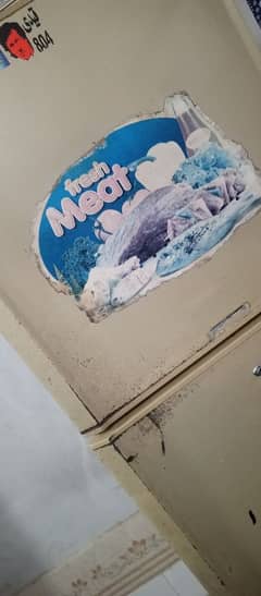 PEL Medium Size fridge