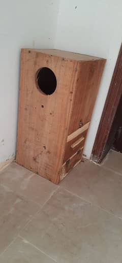 Raw and Grey parrot breeding box