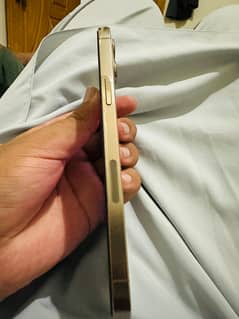 Iphone 12 pro max Pta Approved