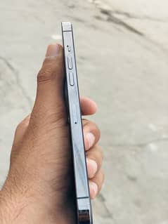12pro