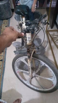 Folding Bicycle