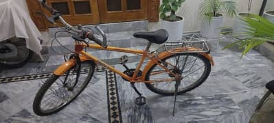 super phoinex bicycle