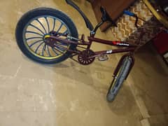 cycle