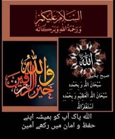 wonder full plot in gulistan e kazim