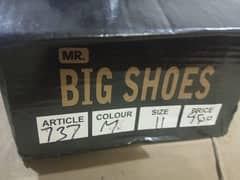 Mr Big shoes brand