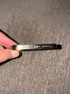 12promax 256gb 76health