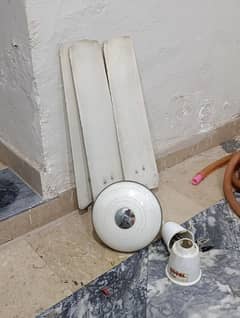 Royal ceiling fan