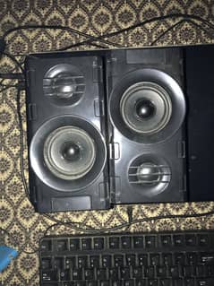 Wired Speakers