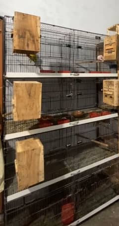 Birds folding cages