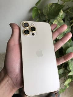 Iphone 12 pro max non