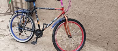 Bicycle F16 Model Use look like New