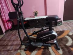 exercise cycle