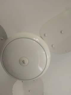 S. K  Fan
