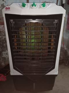 12 volt coler