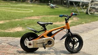 12 inch One alloy frame cycle imported with disc brakes