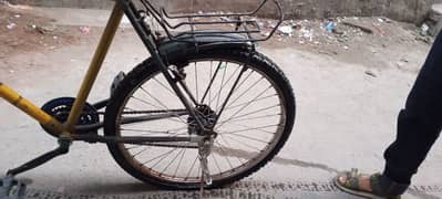 fornix