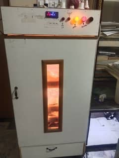 850 eggs Incubator