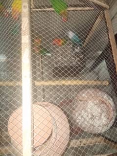 male and female