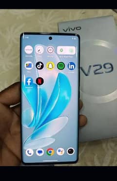 vivo