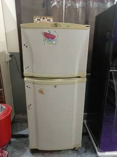 PEL Fridge