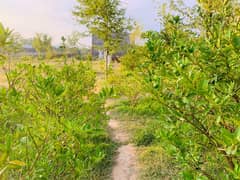 05 Kanal Corner FarmHouse For Sale in Islamabad Simly Dam Link Road