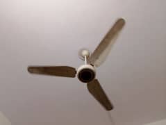 Sufi Ceiling fan