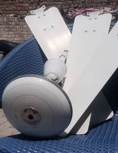 Ceiling Fan