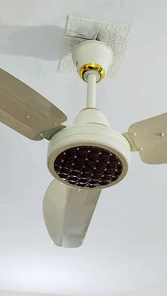 GFC Crown Fan Slightly Used