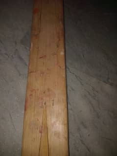 Hard Ball bat