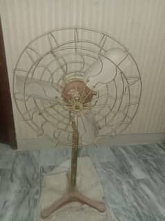 fan