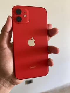 Iphone 12 approved