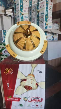 Butt Ac/Dc Ceiling fan
